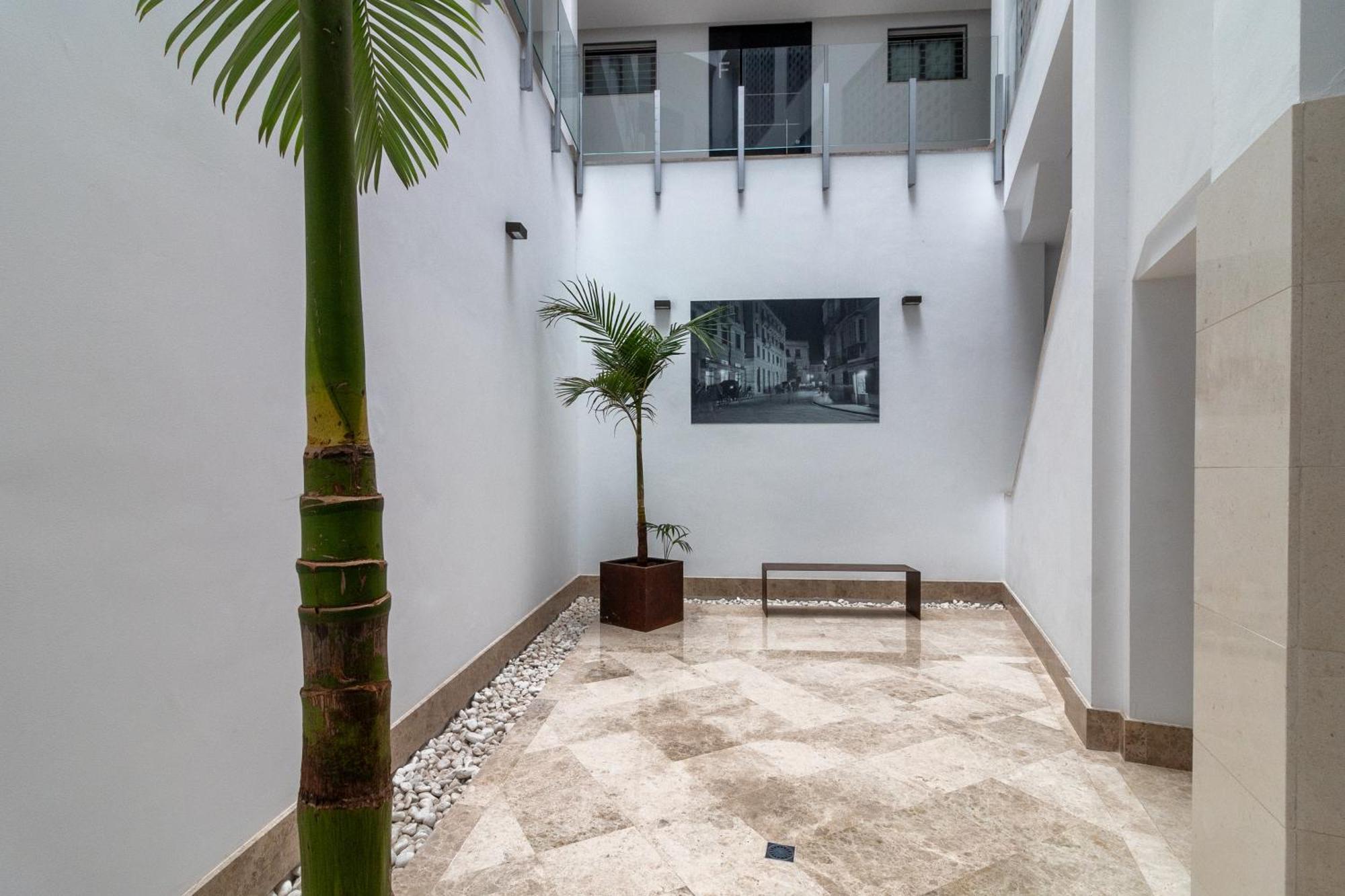 Nt Luxury Central Duplex With Terrace & Parking Málaga Dış mekan fotoğraf